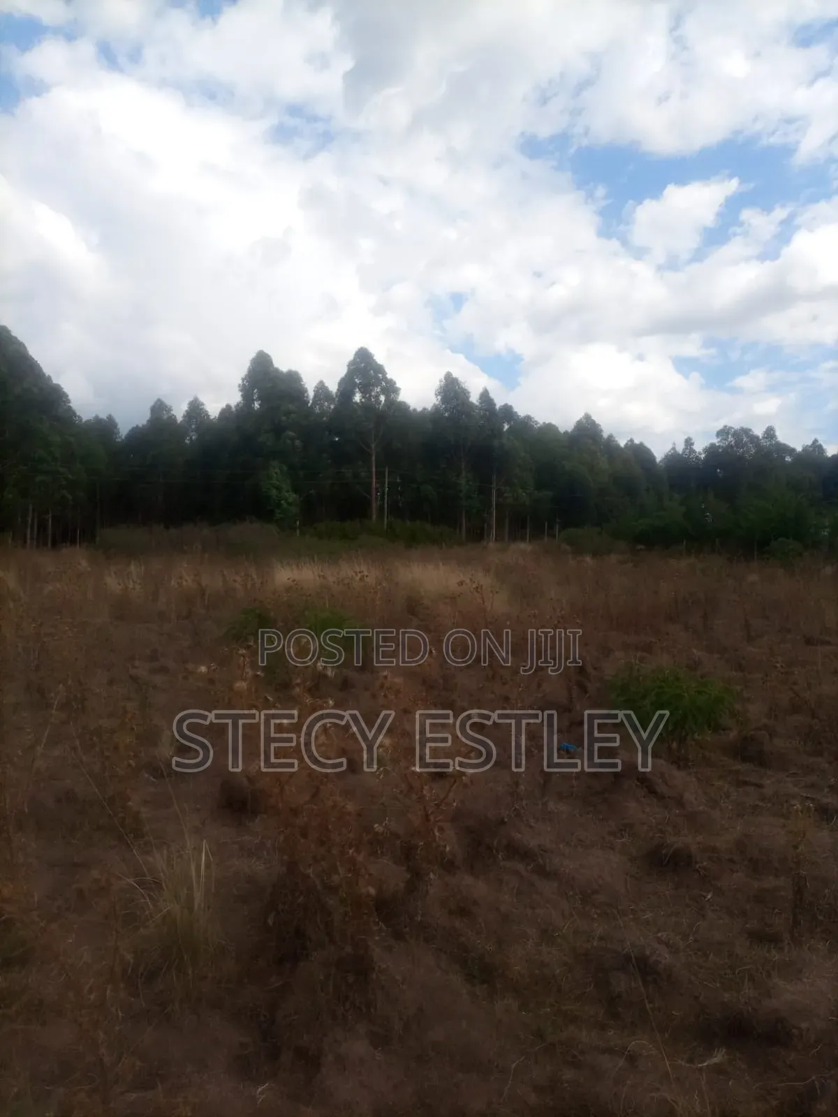 Very Prime 2.5 Acres in Manyuki Just 5.6km From Quick Mart