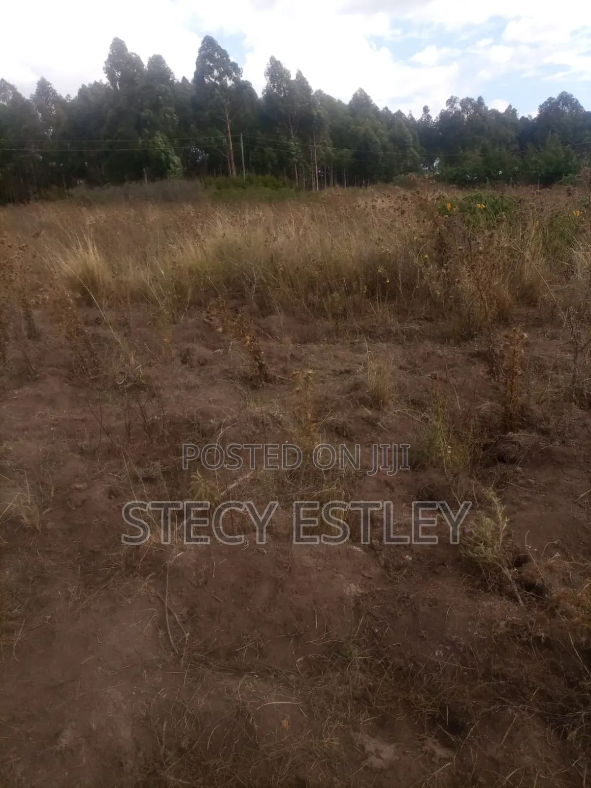 Very Prime 2.5 Acres in Manyuki Just 5.6km From Quick Mart