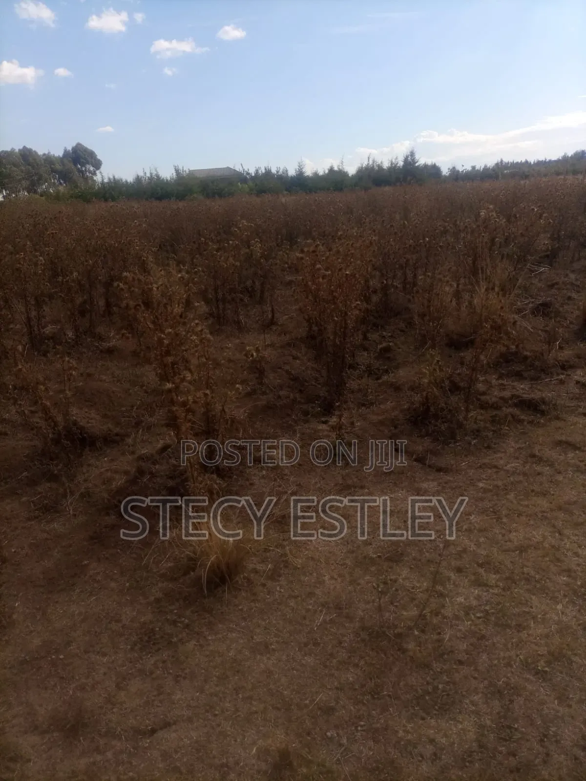 Very Prime 2.5 Acres in Manyuki Just 5.6km From Quick Mart