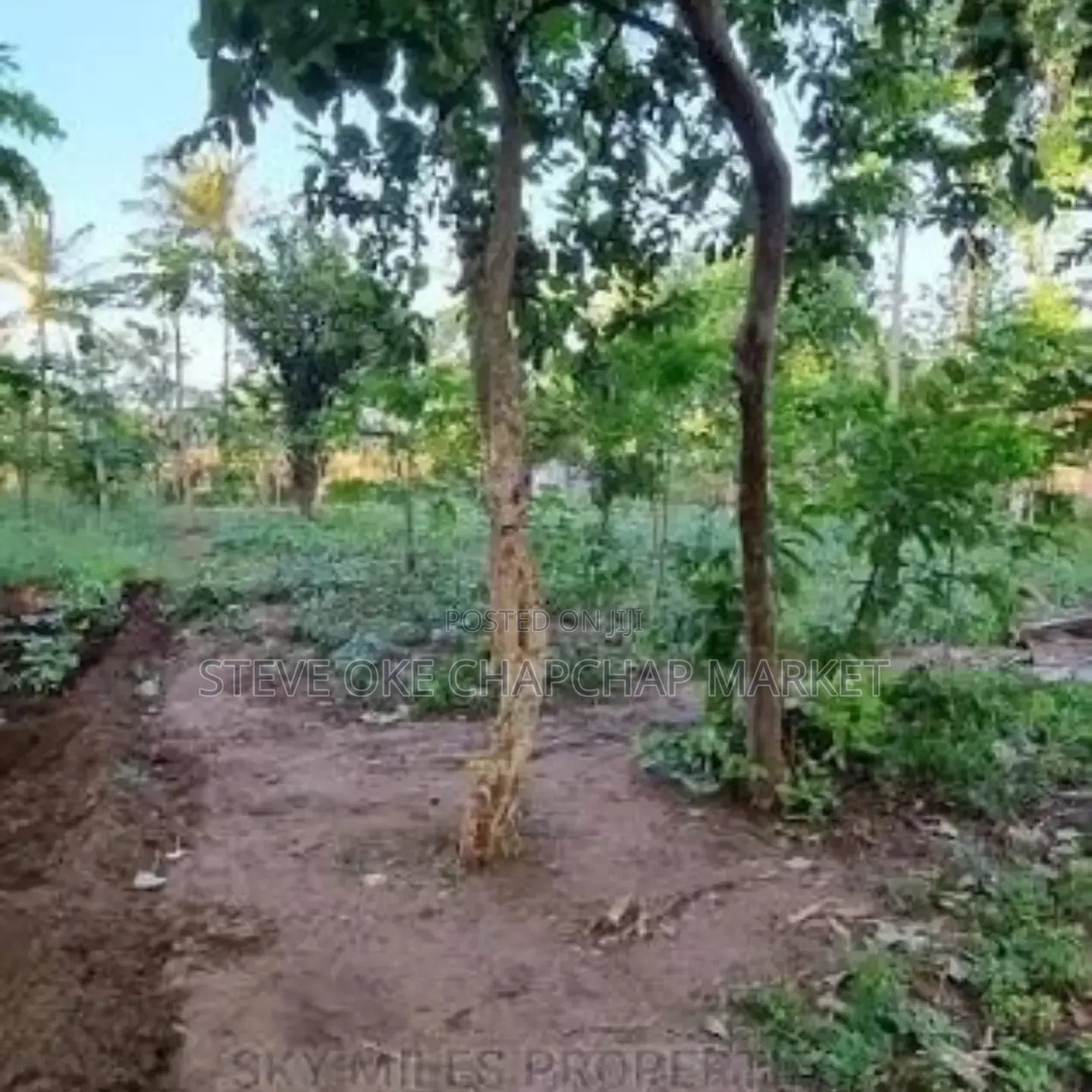 Ready Title Deed Prime 2-Acre Land for Sale in Majengo Kanamai!