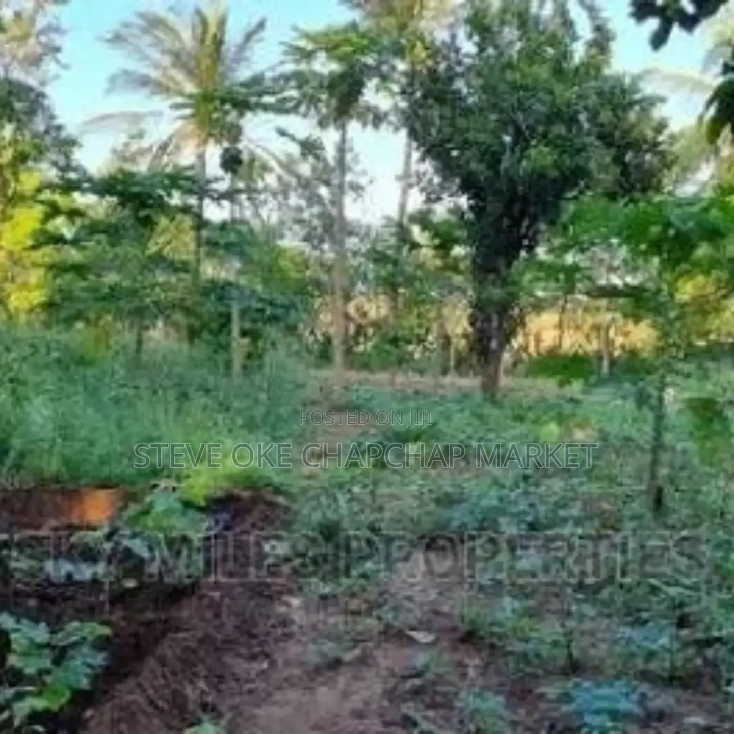 Ready Title Deed Prime 2-Acre Land for Sale in Majengo Kanamai!
