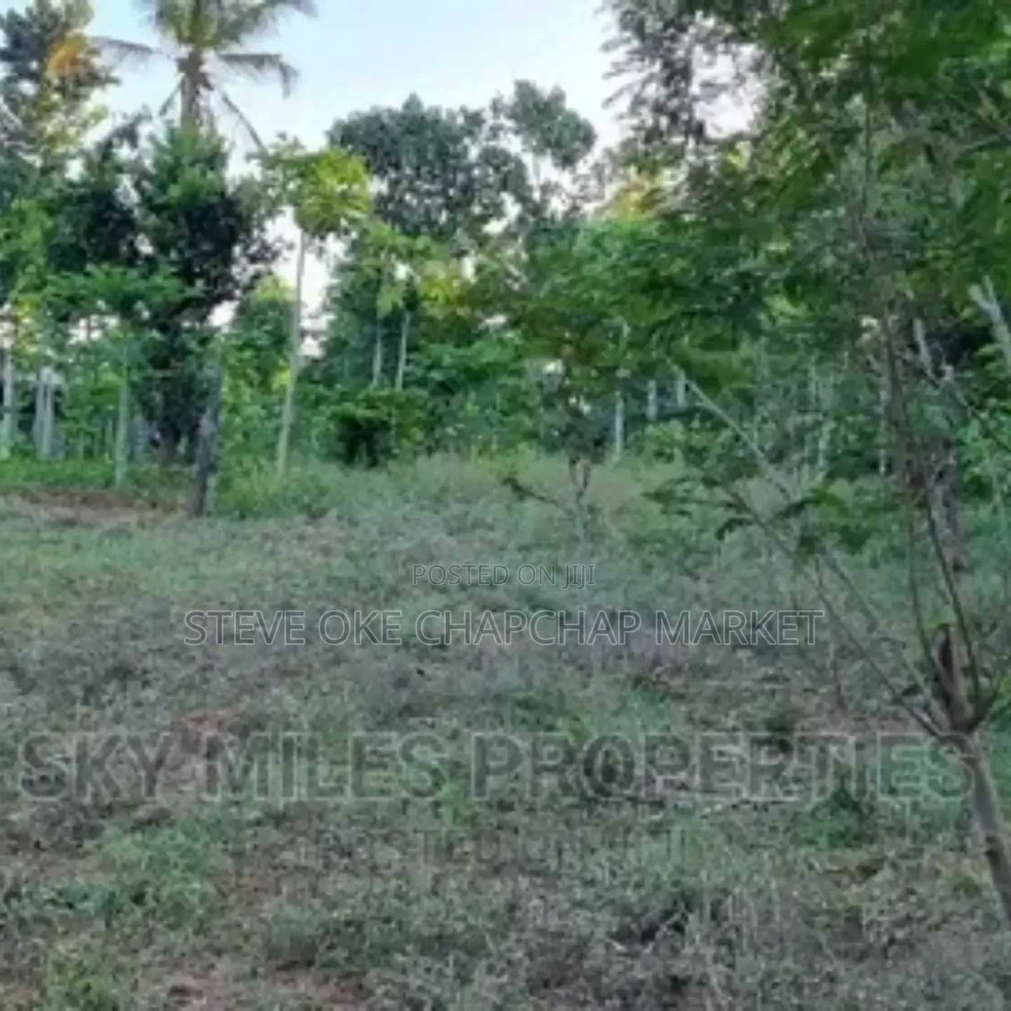Ready Title Deed Prime 2-Acre Land for Sale in Majengo Kanamai!
