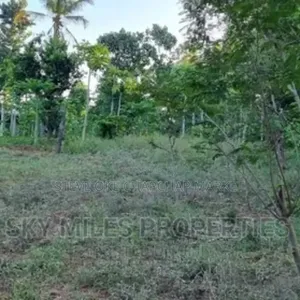 Ready Title Deed Prime 2-Acre Land for Sale in Majengo Kanamai!