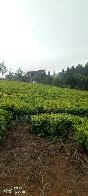 10 Acres Limuru
