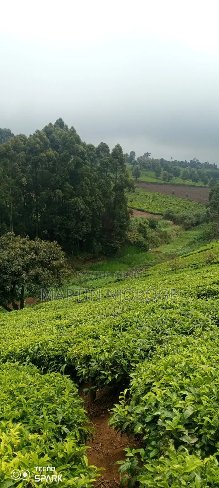10 Acres Limuru