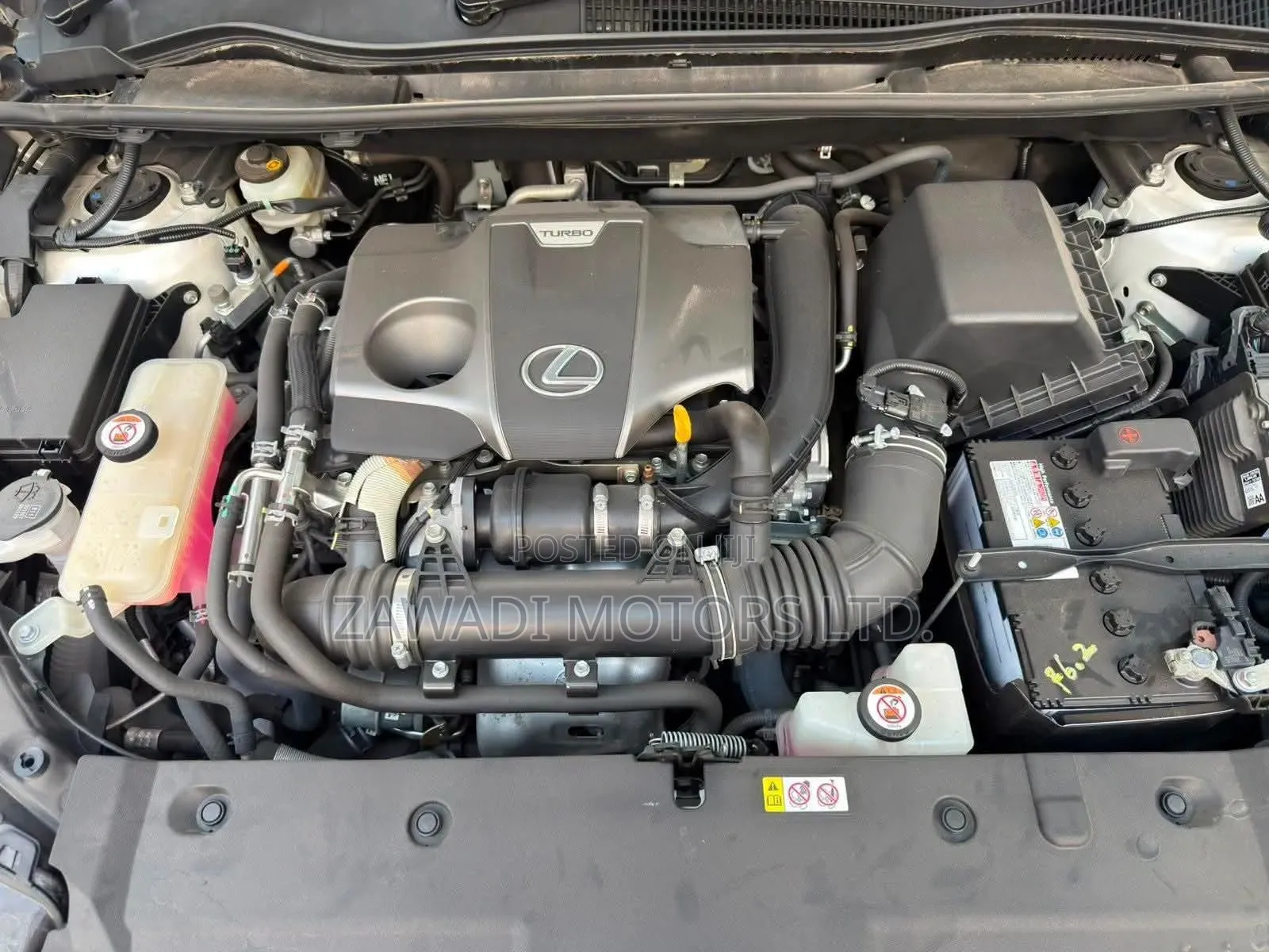 Lexus NX 200 AWD 2019 White