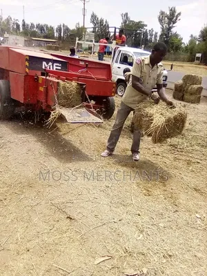 Hay Bales /Stacks for Sale