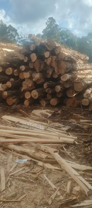 Well Structured and Good Timber