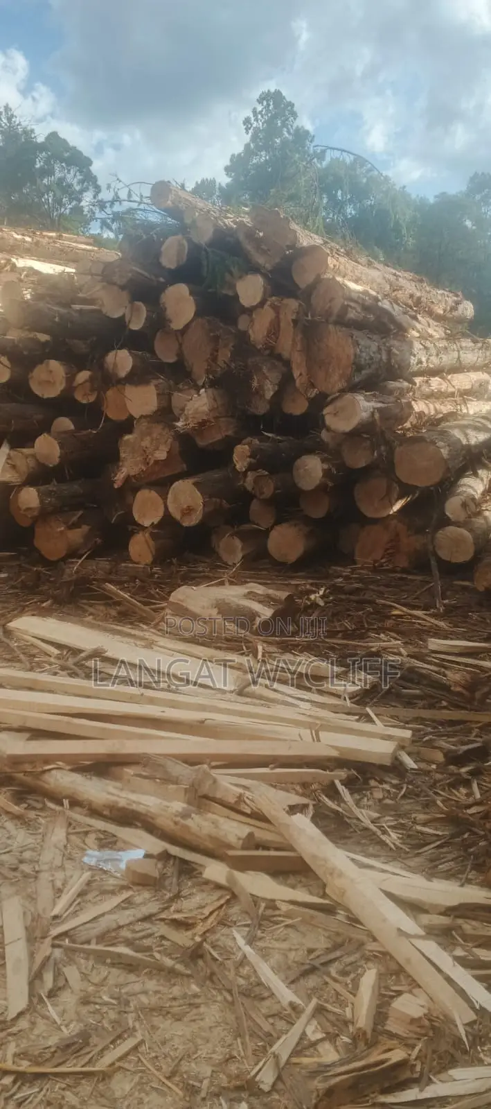 Well Structured and Good Timber