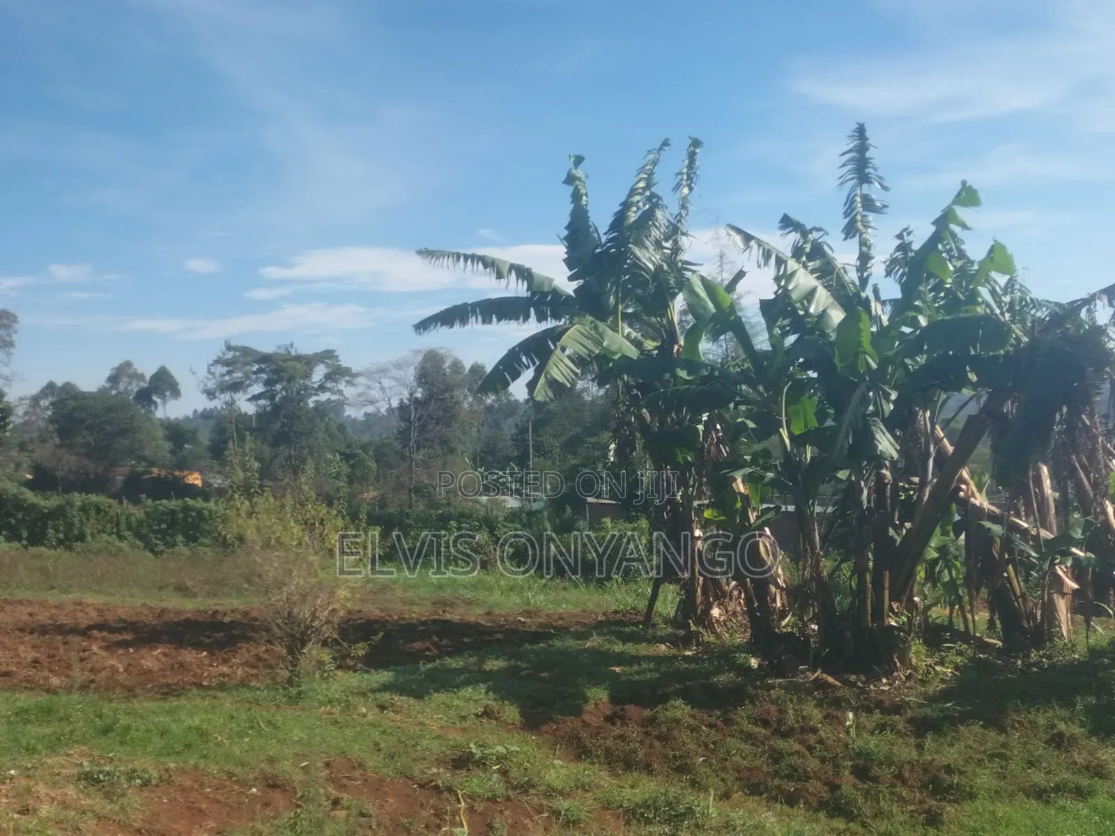 2points for Sale(cheplengu Shopping Centre Nandi County)
