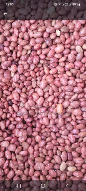 Red Cow Pea /Kunde