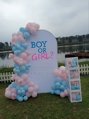 Gender Reveal Backdrop Decor