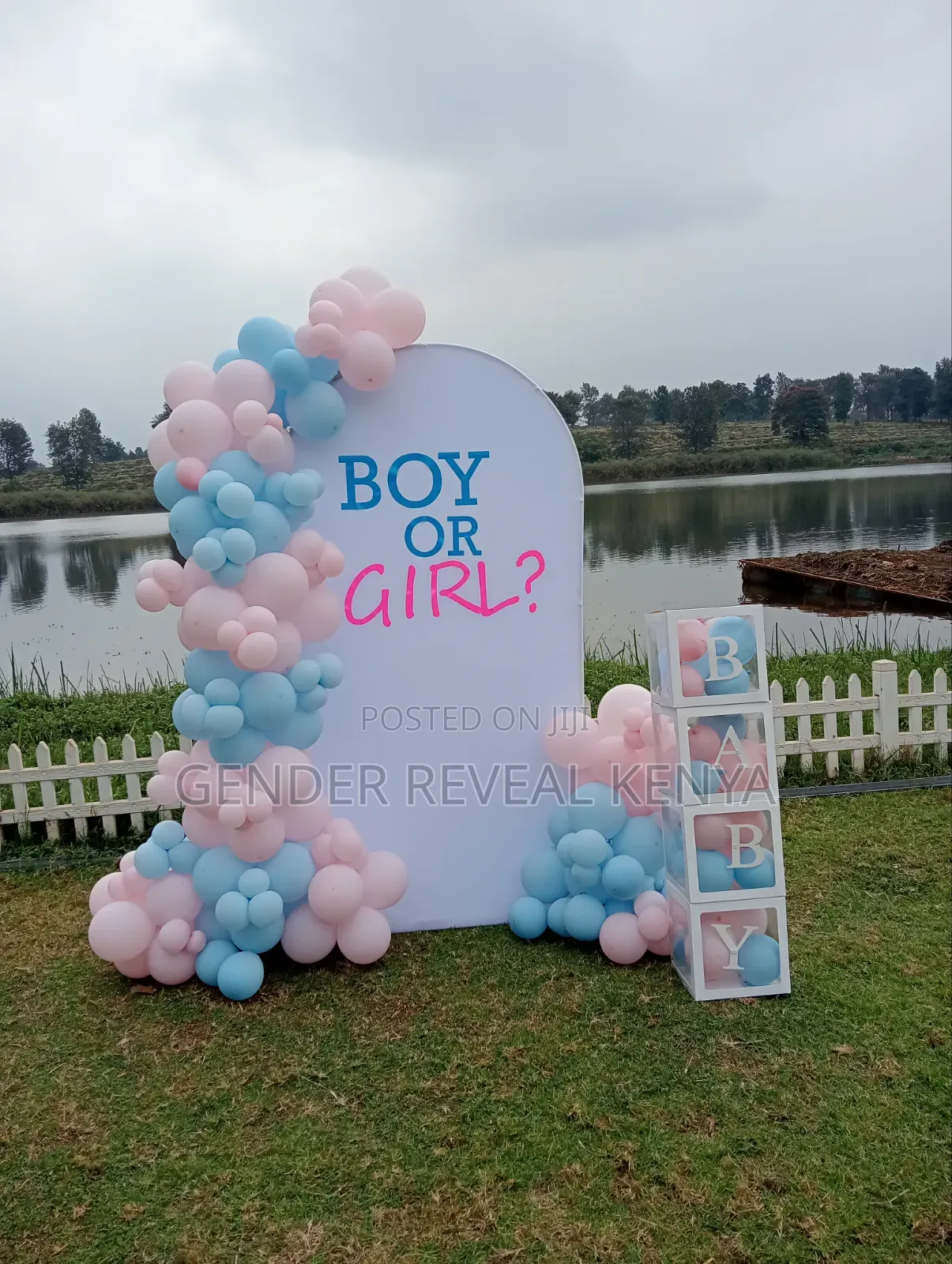 Gender Reveal Backdrop Decor