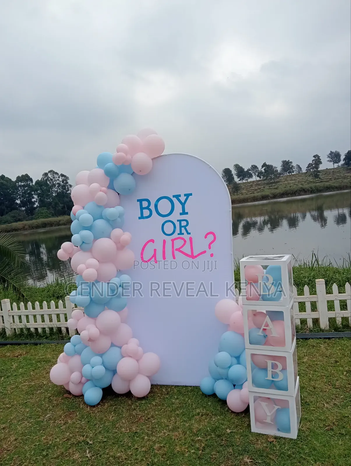 Gender Reveal Backdrop Decor