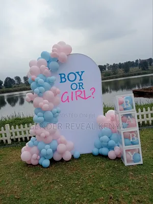 Gender Reveal Backdrop Decor