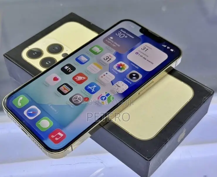 Apple iPhone 13 Pro Max 512 GB Gold