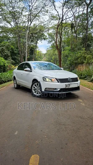 Volkswagen Passat 2011 White