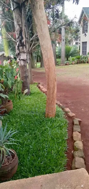 4bdrm Maisonette in Silver Garden, Thindigua/Kasarini for rent