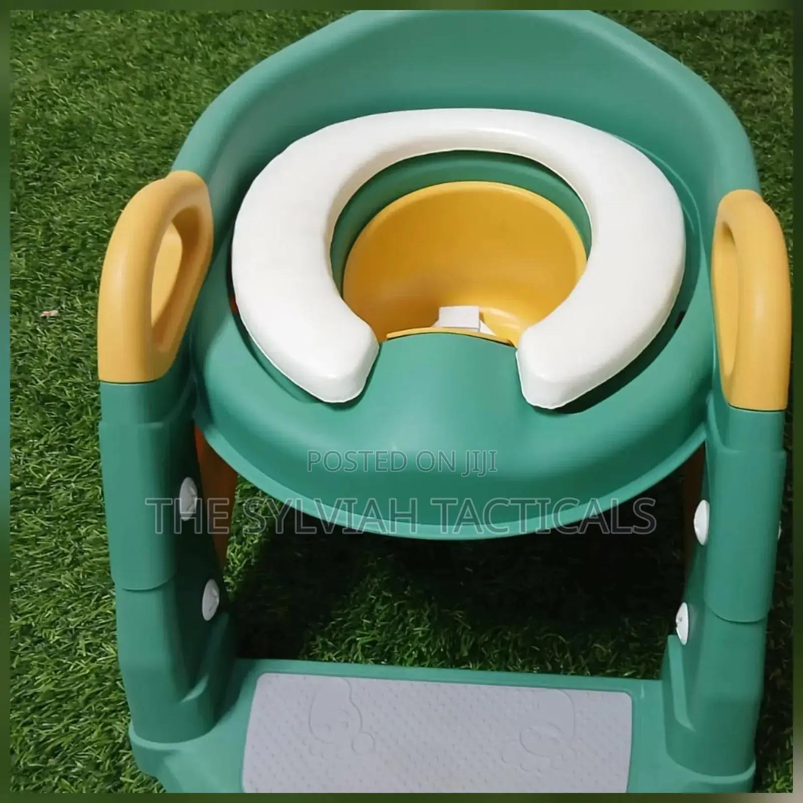 Original Potty Ladder