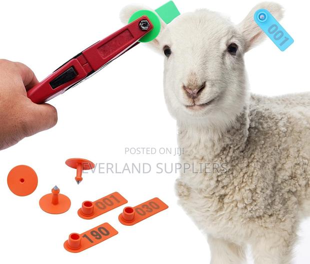 Goat Ear Tags - A Packet 100pcs - main view