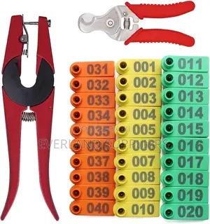 Goat Ear Tags - Organized in 100pcs