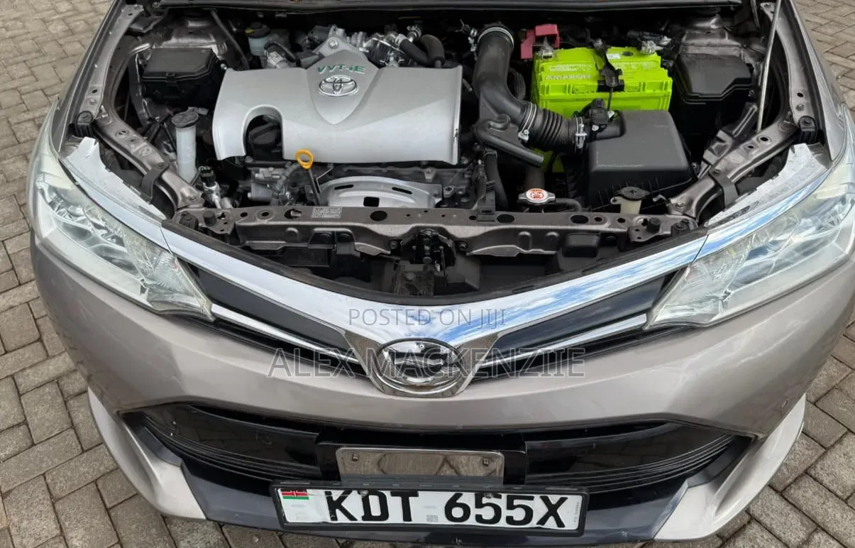 Toyota Axio 2019 Gold