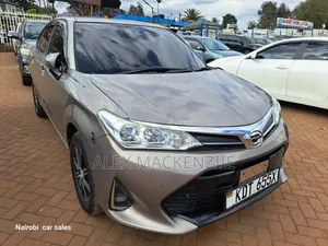 Toyota Axio 2019 Gold