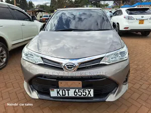 Toyota Axio 2019 Gold