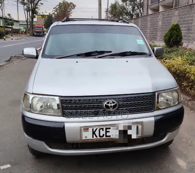 Toyota Probox 2008 Silver