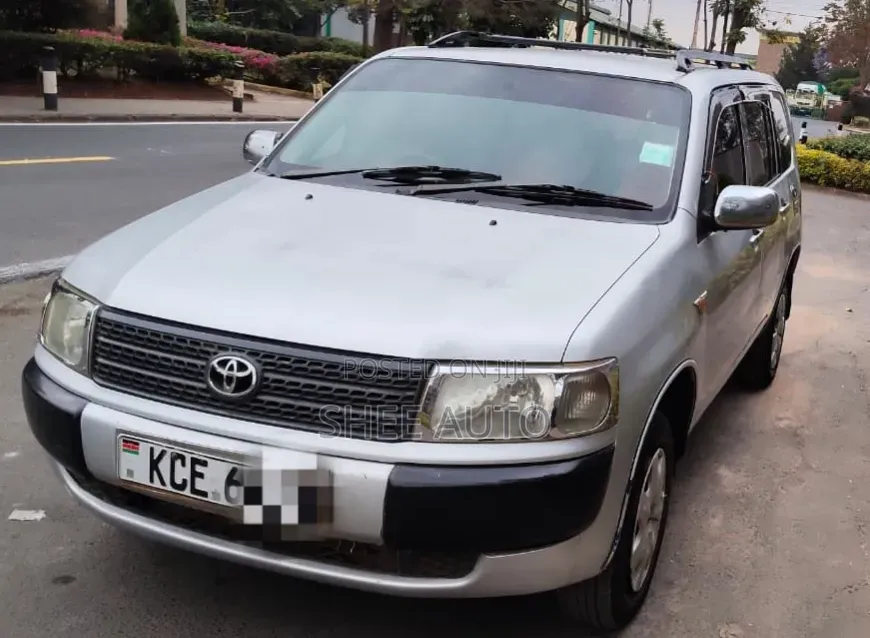 Toyota Probox 2008 Silver
