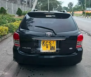 Toyota Corolla Fielder 2011 Black