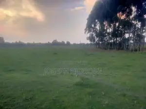 Land 100 Acres 2km From Lake Olbolsat