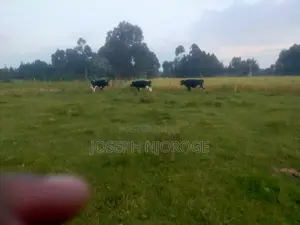 Land 100 Acres 2km From Lake Olbolsat