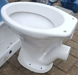 Ordinary Ptrap Toilet