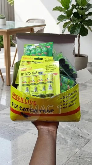 Green Live Fly Catch Traps (Non-Toxic Sticky Paper Roll)