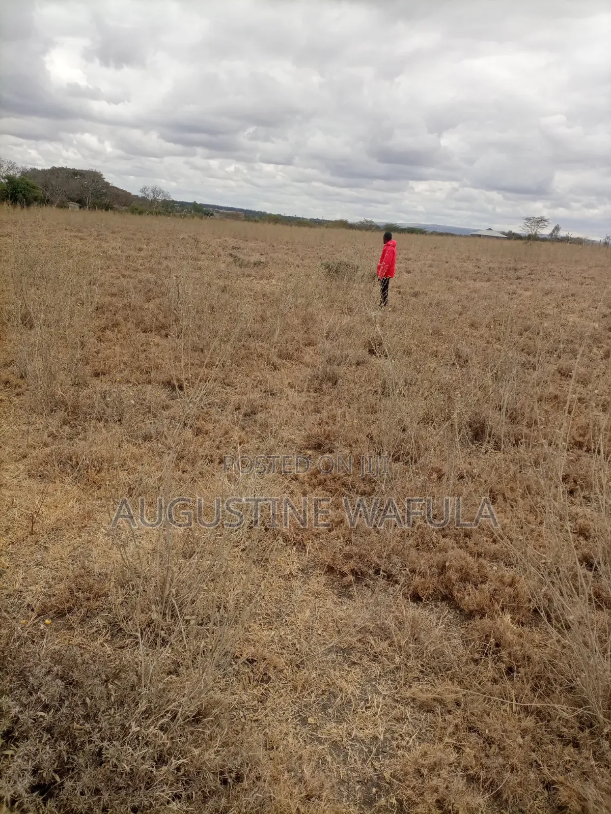 Plots for Sale