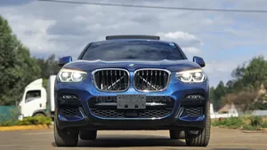 BMW X4 2020 Blue