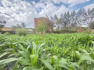 Quarter Acre Residential Plot for Sale at Juja