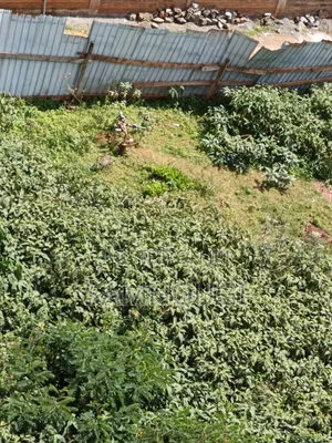 Ruaka Prime 100x100 Plot for Sale
