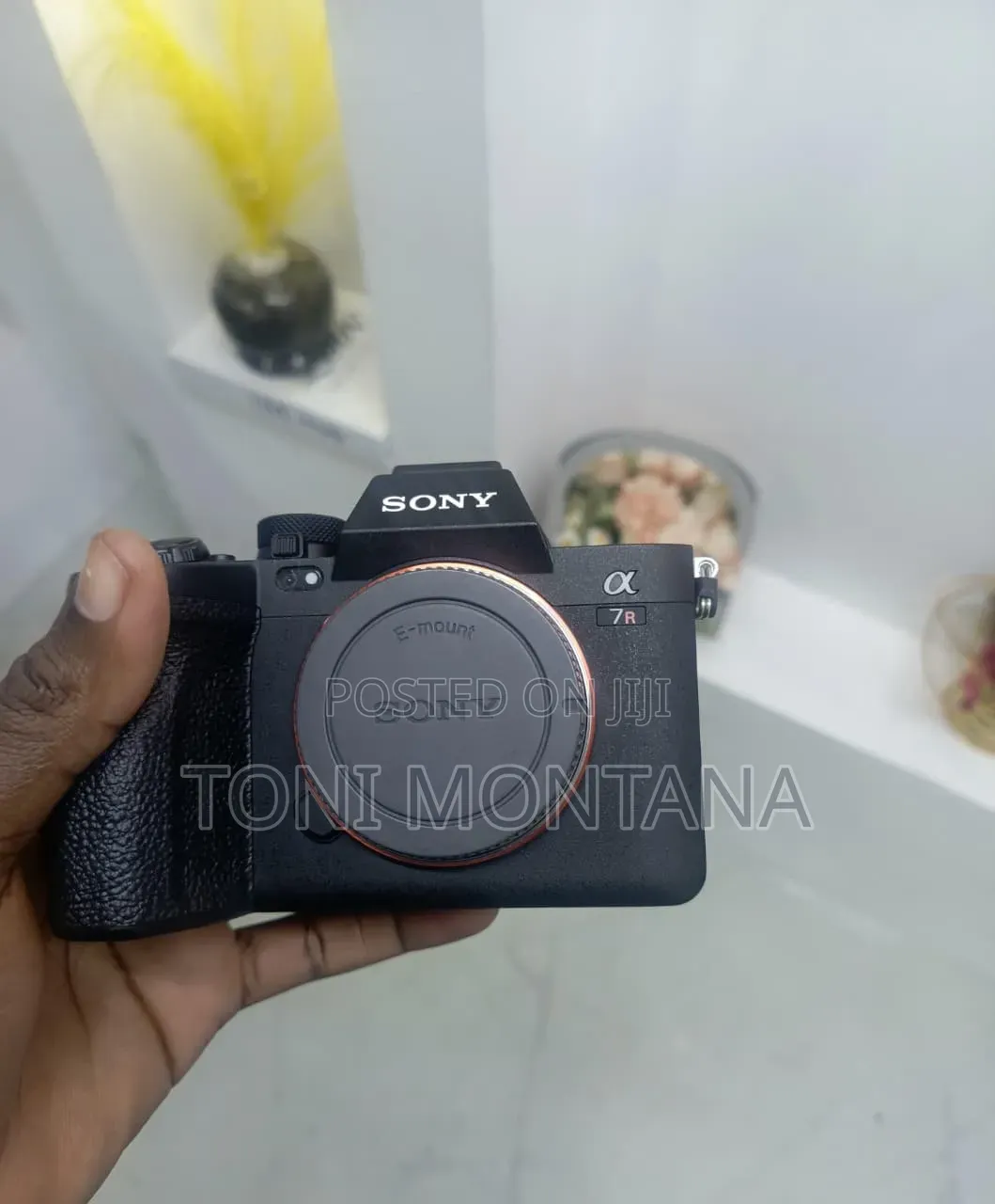 Sony A7r V