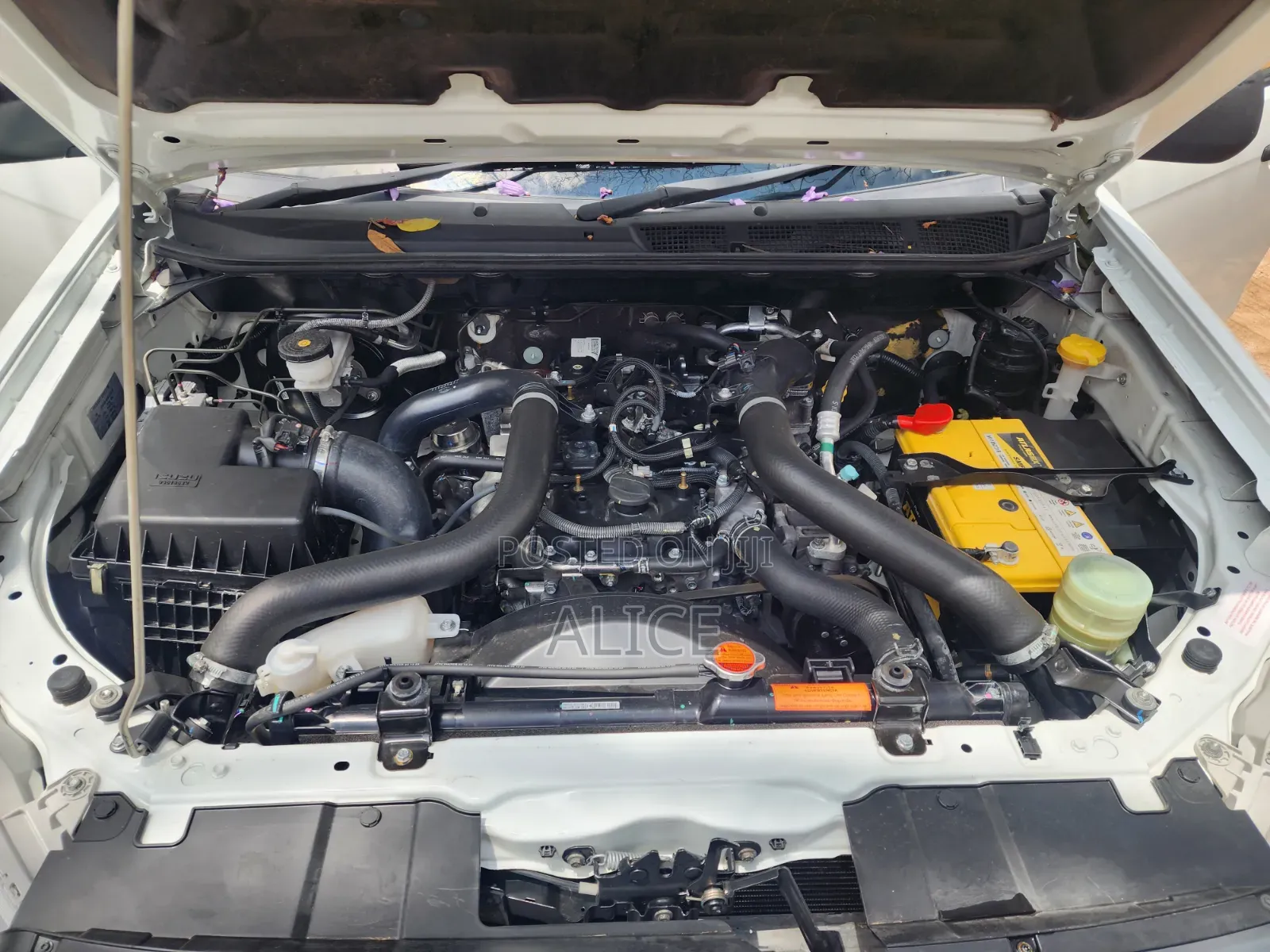 Isuzu D-MAX 2025 White