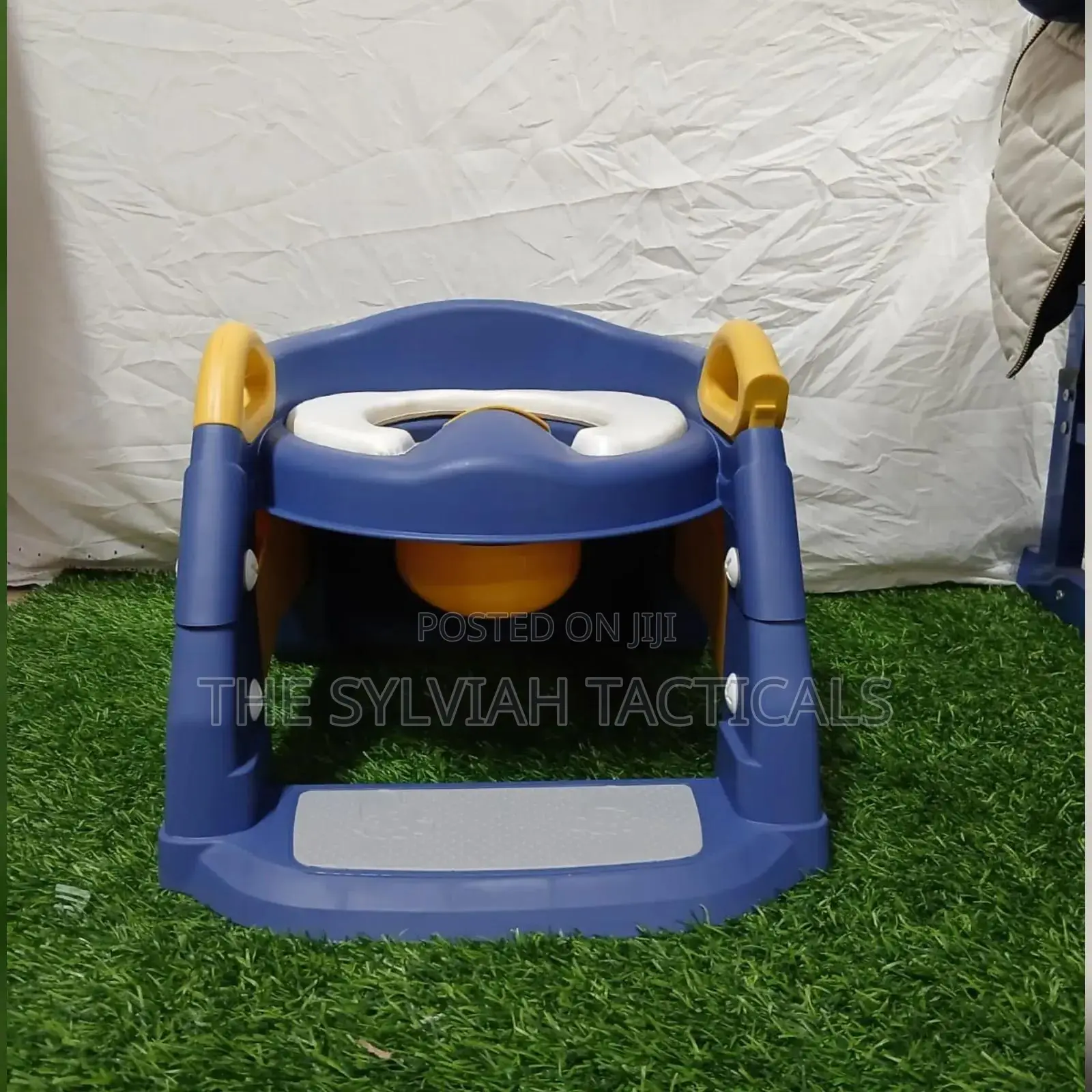 Original Potty Ladder