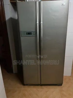 LG Fridge Repair and Service