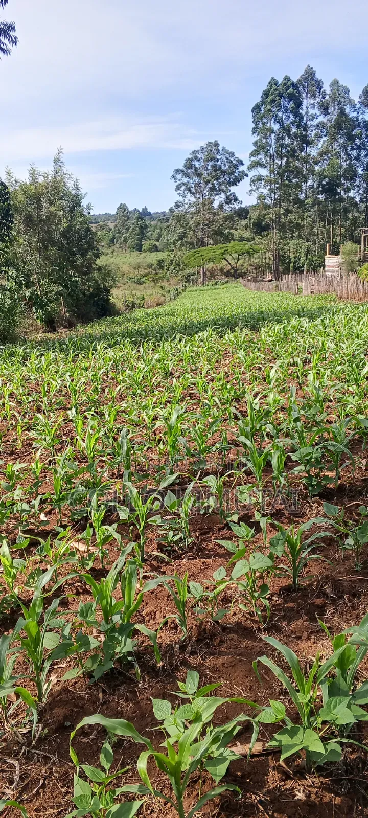 7 Plots Block for Sale - Simat Lemoook, Southern Bypass Eldoret