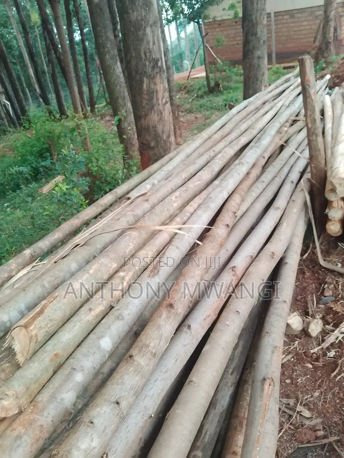 Roofing Timber and Poles