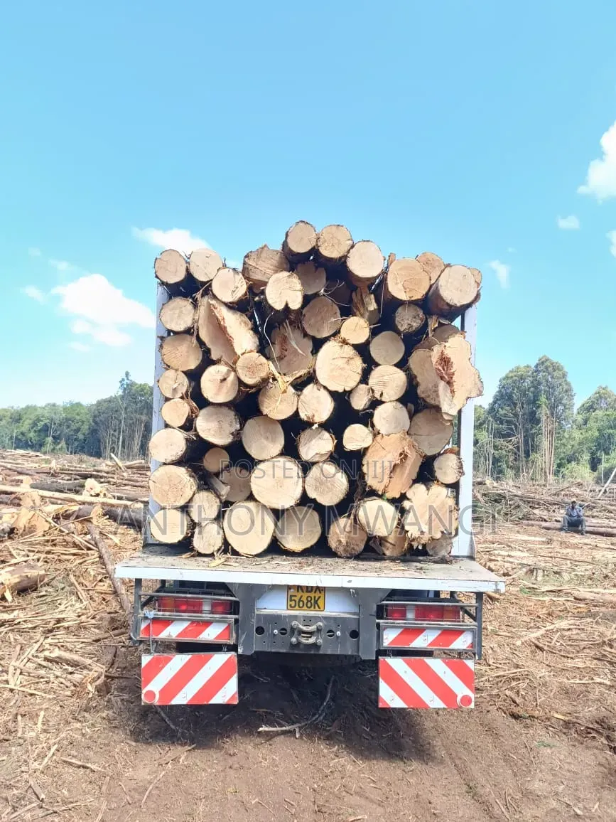 Roofing Timber and Poles