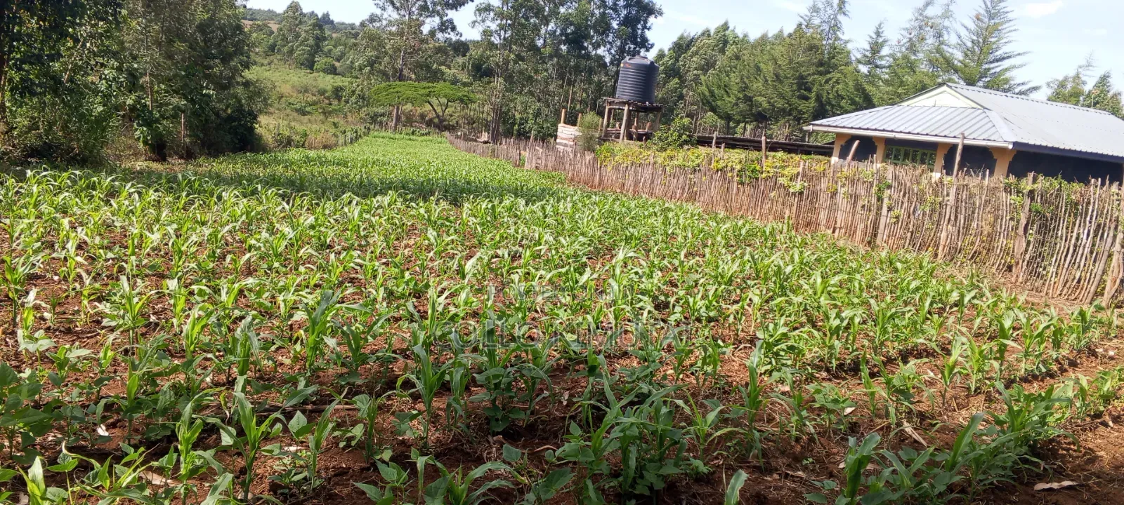 7 Plots Block for Sale - Simat Lemoook, Southern Bypass Eldoret