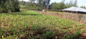 7 Plots Block for Sale - Simat Lemoook, Southern Bypass Eldoret