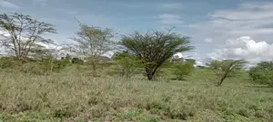 Prime 1.5 Acres for Sale, in Isinya, for Mixed Farming
