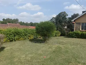 1⁄4 Acre Commercial Plot